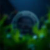 Diagram illustrating the regulatory framework of RBI for forex brokers in India